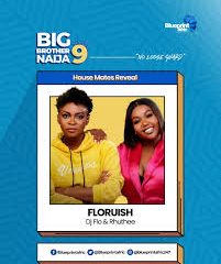 Big Brother Naija