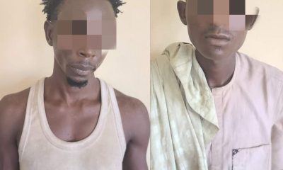 Two Suspects Arrested in Kano for Stealing Police Station Signpost