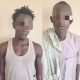 Two Suspects Arrested in Kano for Stealing Police Station Signpost