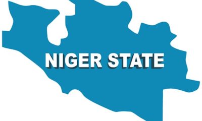 Tragic Phone Snatching Incident: Hoodlums Stab Man to Death in Niger