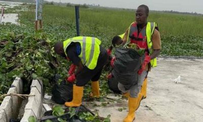 NIWA Clears Lagos Waterways of Hyacinths to Ease Yuletide Traffic