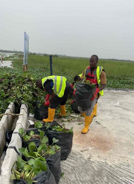 NIWA Clears Lagos Waterways of Hyacinths to Ease Yuletide Traffic