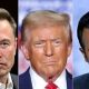 Trump Appoints Elon Musk and Vivek Ramaswamy to Lead New US Government Efficiency Department